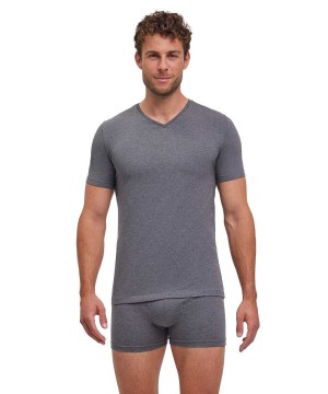 Falke 2-Pack T-Shirt V-neck Daily Comfort Miesten Lyhythihainen Paita Harmaat | 07432WJQX