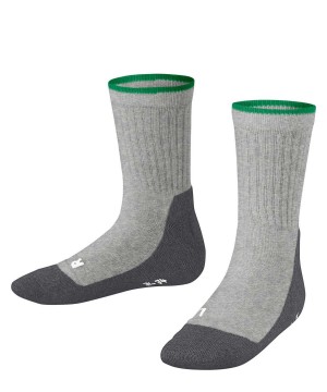 Falke Active Everyday Socks Lasten Sukat Harmaat | 50723YZHB