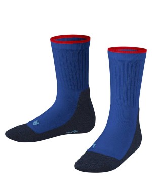 Falke Active Everyday Socks Lasten Sukat Sininen | 37650WKQR