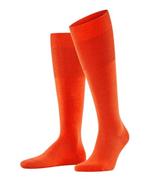 Falke Airport Knee-high Socks Miesten Sukat Oranssi | 01563XMLB