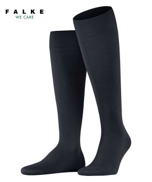 Falke ClimaWool Knee-high Socks Miesten Sukat Sininen | 06518DEKO