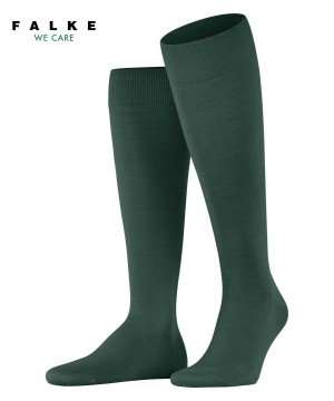 Falke ClimaWool Knee-high Socks Miesten Sukat Vihreä | 76348HOFJ