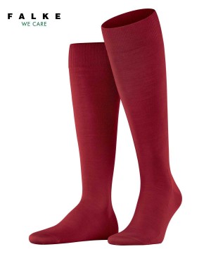 Falke ClimaWool Knee-high Socks Miesten Sukat Punainen | 14632ESUT