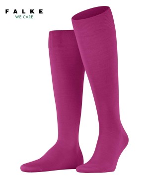 Falke ClimaWool Knee-high Socks Miesten Sukat Punainen | 35894SWZL