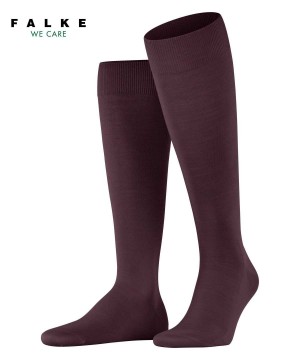 Falke ClimaWool Knee-high Socks Miesten Sukat Punainen | 57392SYNQ