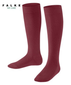 Falke Family Knee-high Socks Lasten Sukat Punainen | 17465UBKE