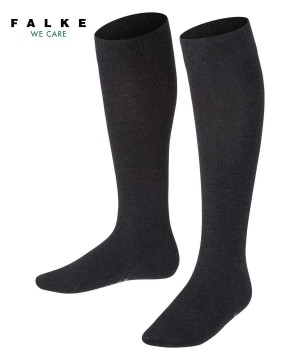 Falke Family Knee-high Socks Lasten Sukat Harmaat | 31078BYMN