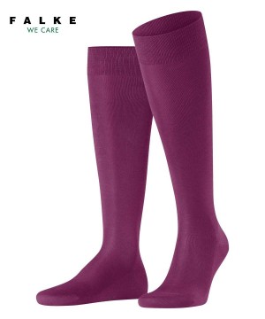 Falke Tiago Knee-high Socks Miesten Sukat Violetit | 97340UFJC