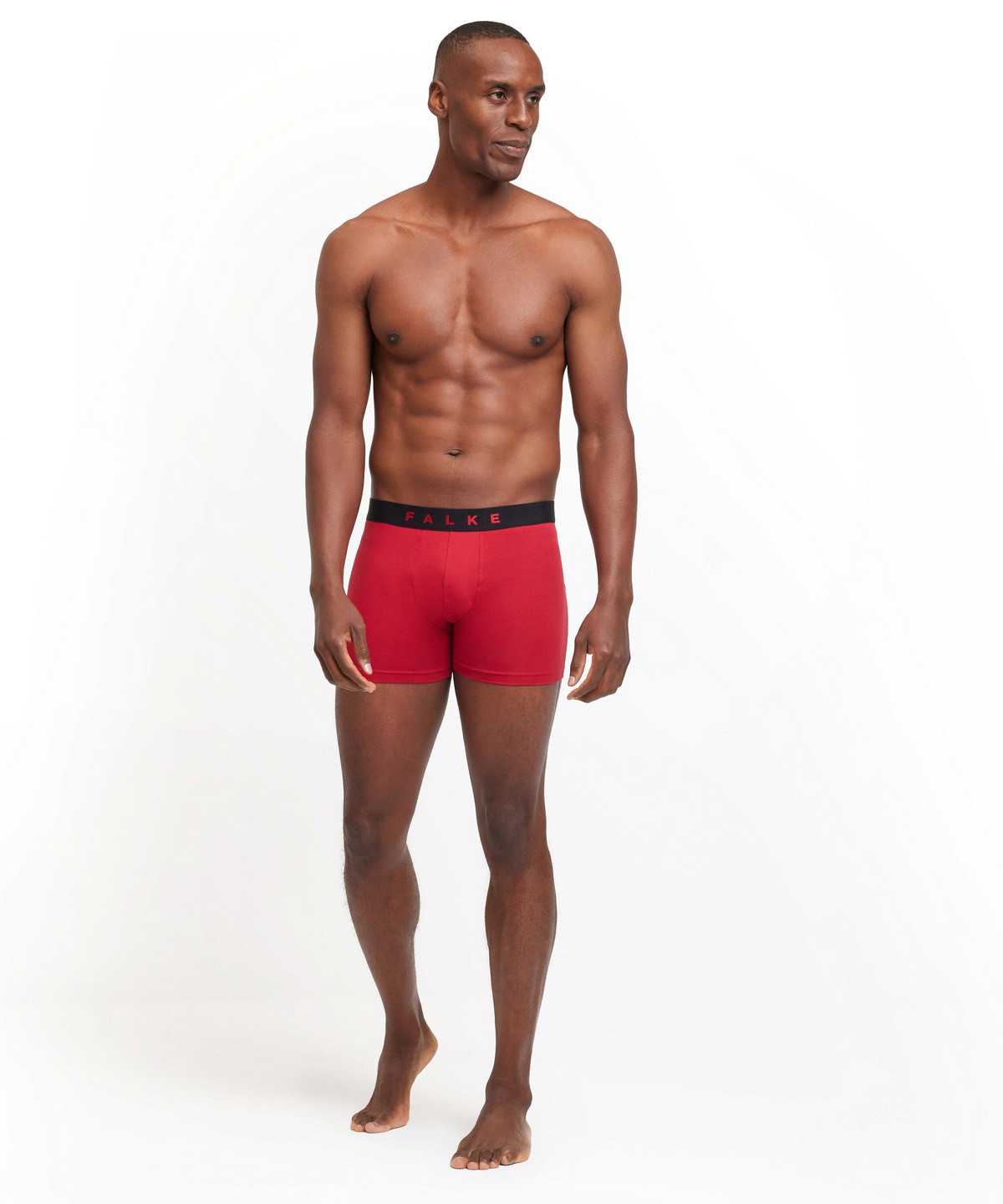 Falke 2-Pack Boxer Daily Comfort Miesten Boxer & Slips Multicolored | 07543WROJ