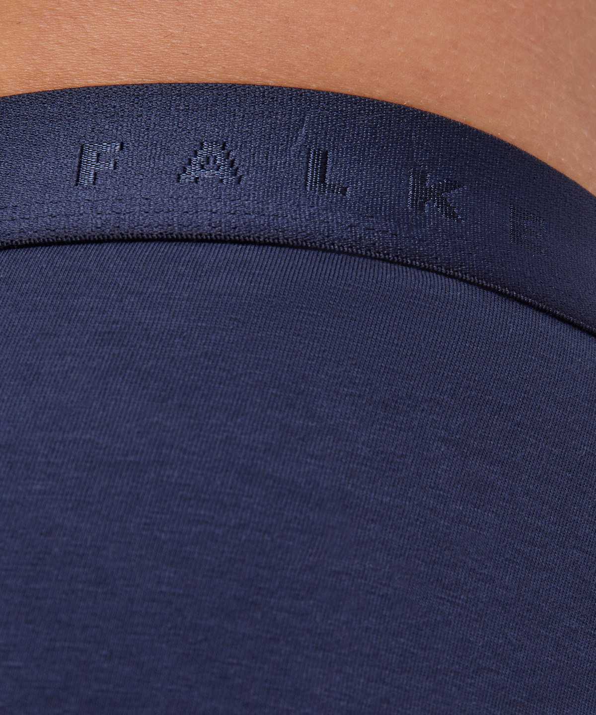 Falke 2-Pack Slip Daily Comfort Miesten Boxer & Slips Harmaat | 49765IYQL