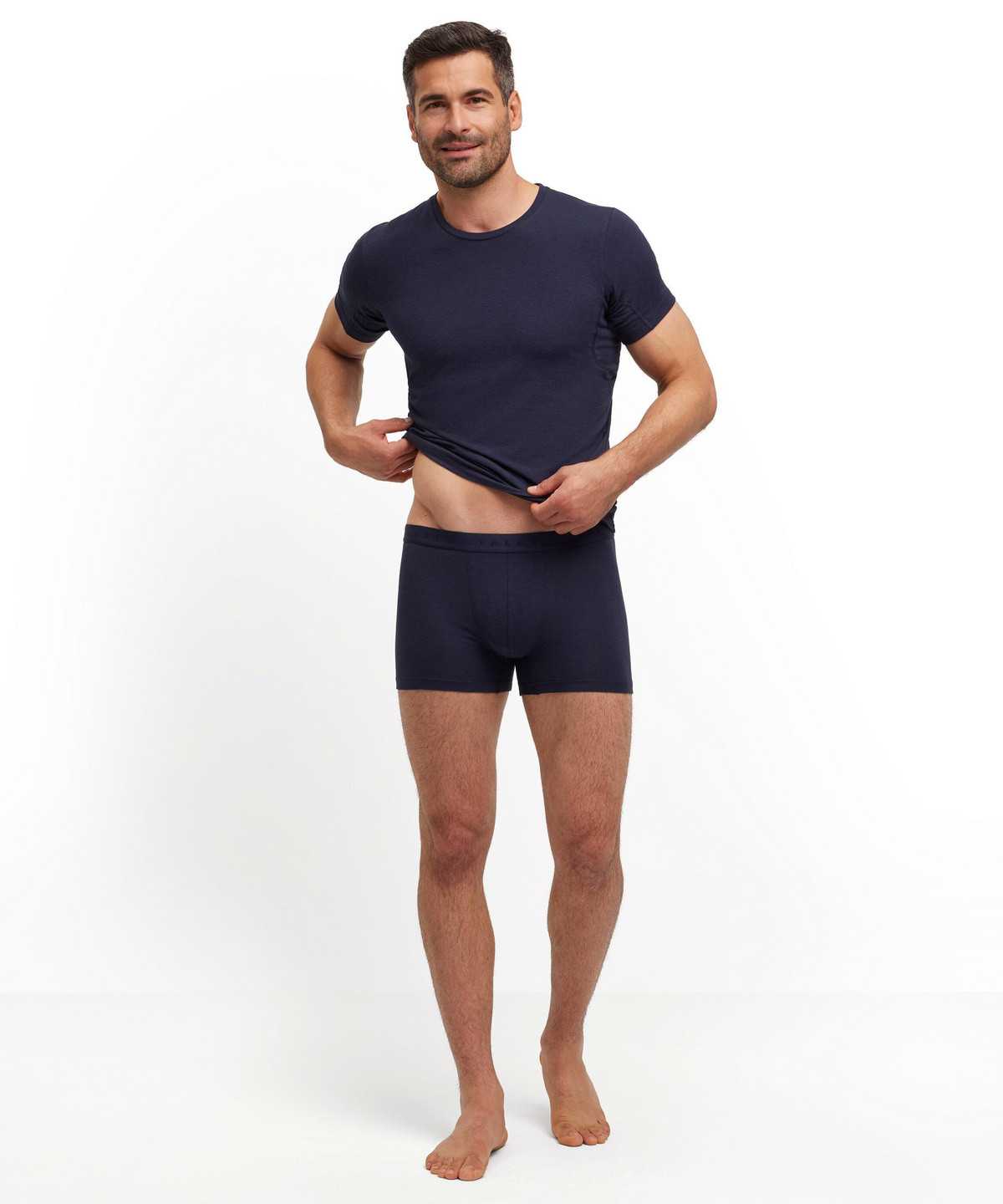 Falke Boxer Daily Climate Control Miesten Boxer & Slips Harmaat | 04857JFIU