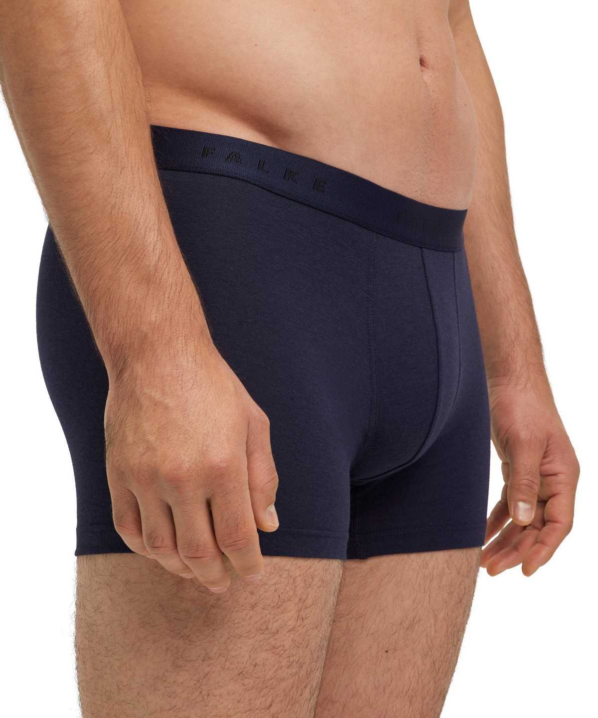 Falke Boxer Daily Climate Control Miesten Boxer & Slips Harmaat | 04857JFIU