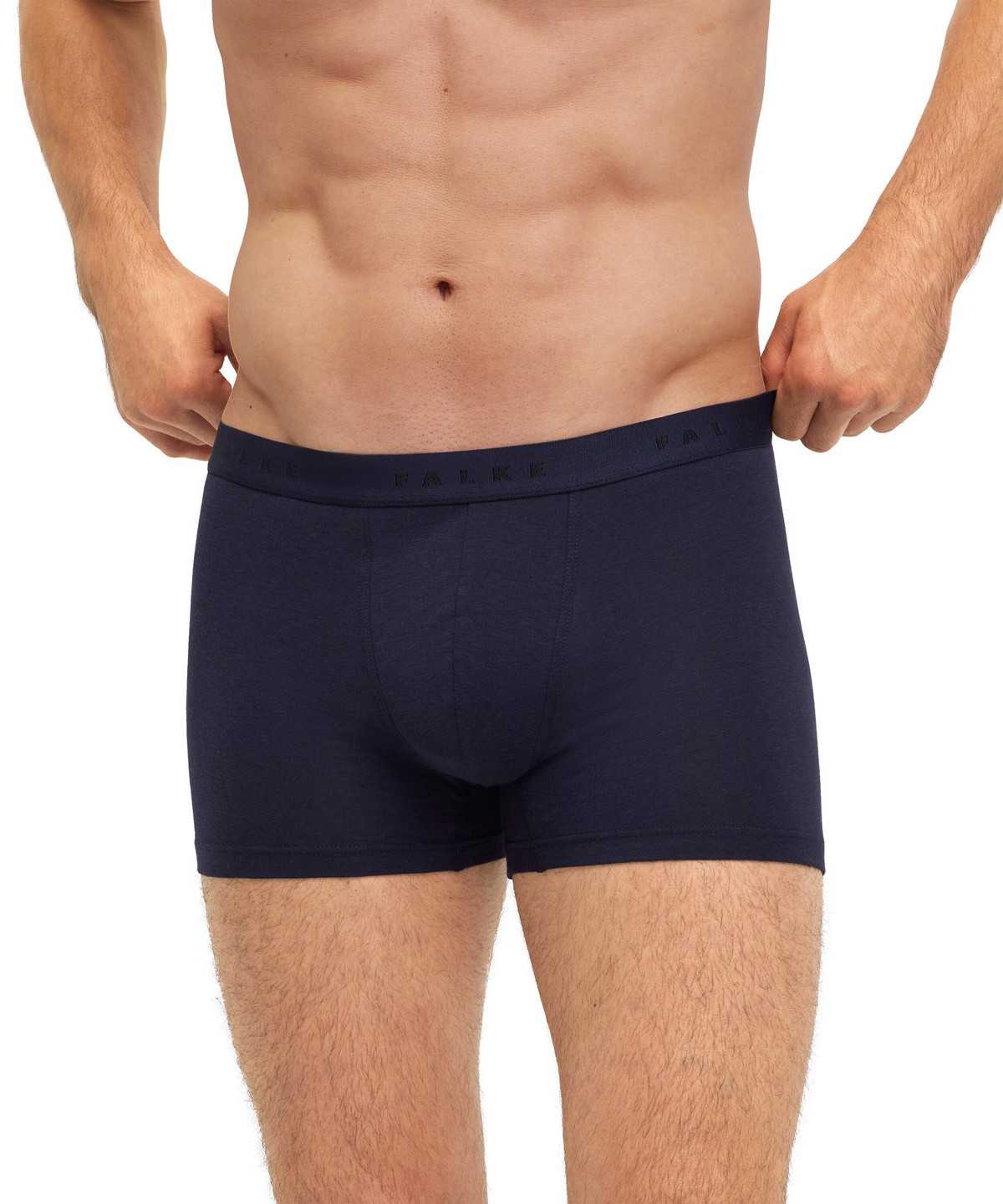 Falke Boxer Daily Climate Control Miesten Boxer & Slips Harmaat | 04857JFIU