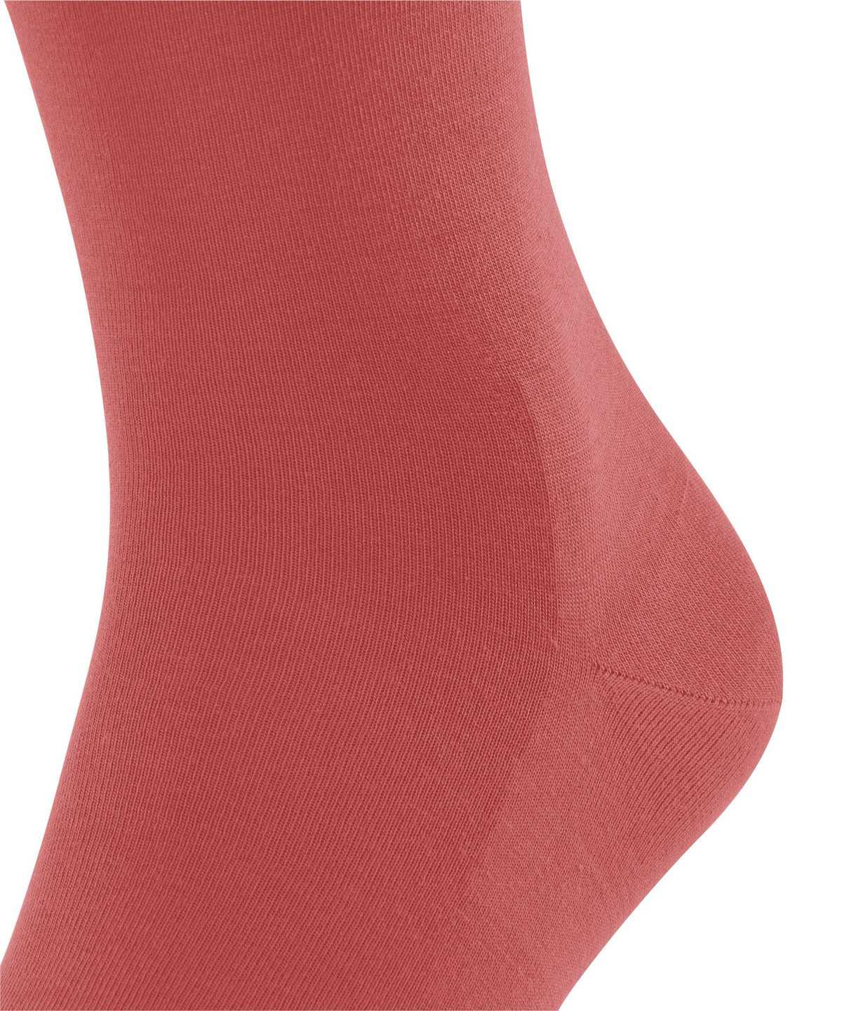 Falke ClimaWool Socks Miesten Sukat Punainen | 32940ALDX