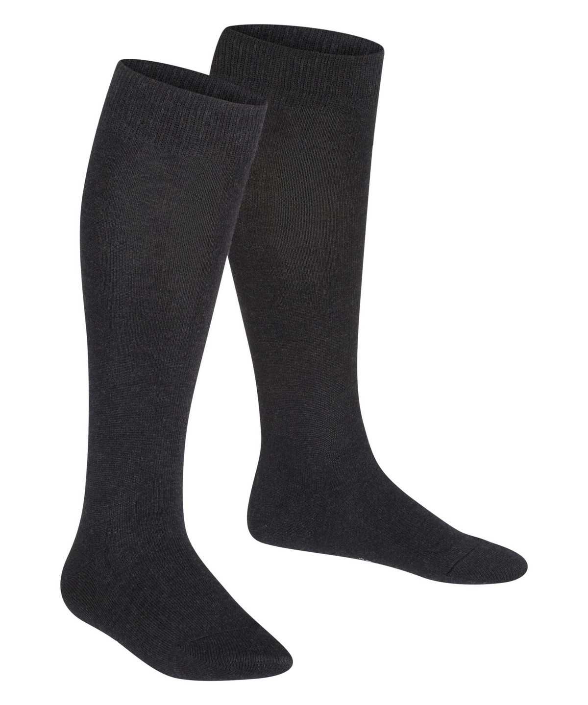 Falke Family Knee-high Socks Lasten Sukat Harmaat | 31078BYMN