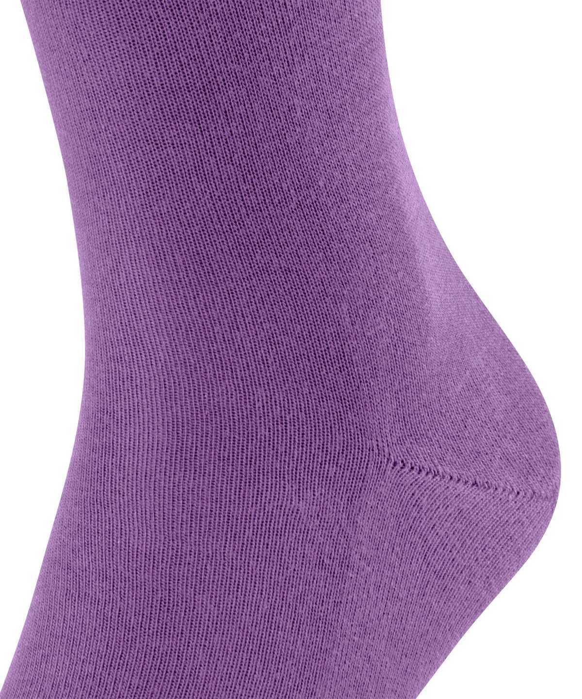 Falke Family Socks Miesten Sukat Violetit | 72534VRDO