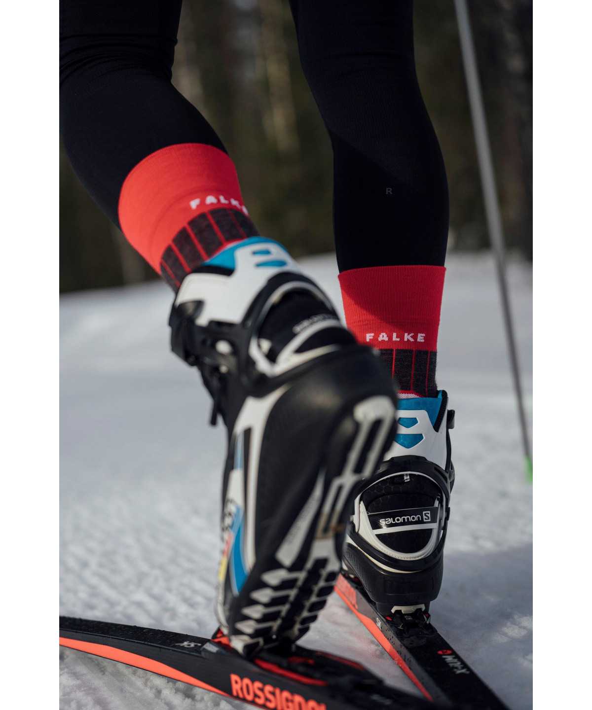 Falke SC1 Skiing Socks Miesten Sukat Punainen | 97358EHQA