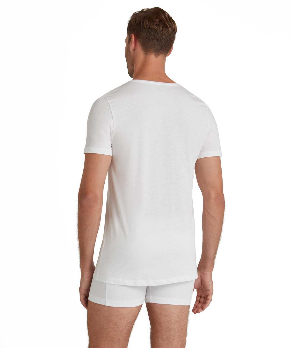 Falke T-Shirt V-neck Daily Natural Miesten Lyhythihainen Paita Valkoinen | 30468YVNZ